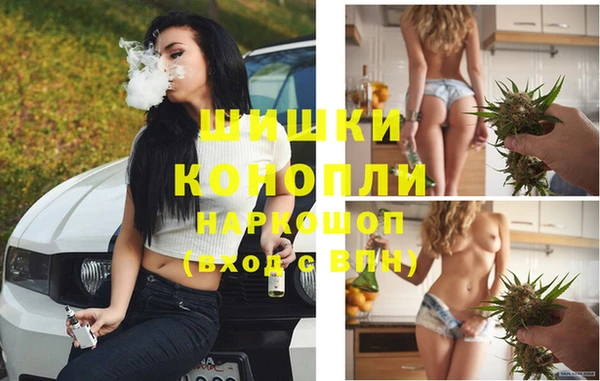 Альфа ПВП Медвежьегорск
