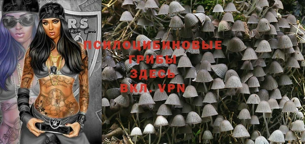 твердый Мегион