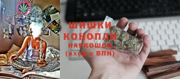 твердый Мегион