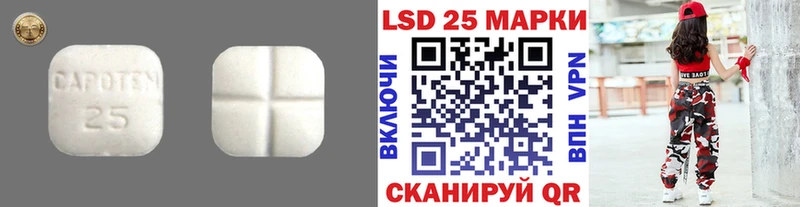 сайты даркнета клад Курган ЛСД экстази ecstasy OMG tor