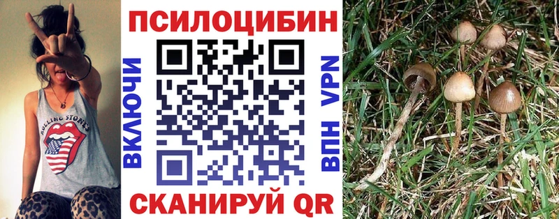 Псилоцибиновые грибы GOLDEN TEACHER  Курган 