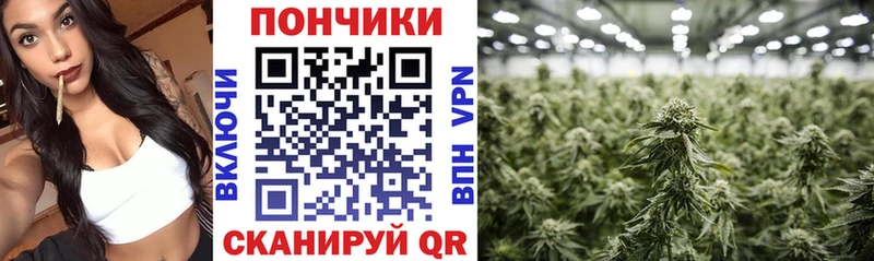 МАРИХУАНА индика Курган